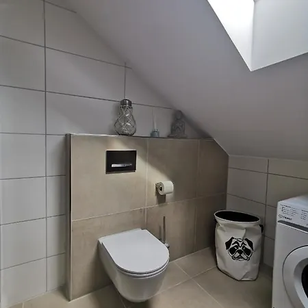 Living Apartment_2 アパート